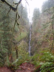Oneonta Gorge from Horsetail Falls Trail
